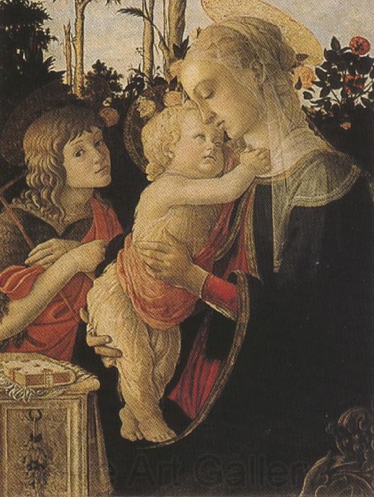 Sandro Botticelli Madonna of the Rose Garden or Madonna and Child with St john the Baptist (mk36)